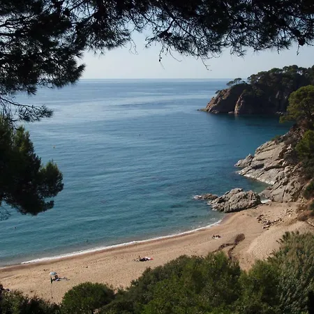 Hébergement de vacances Danlux Moli 12